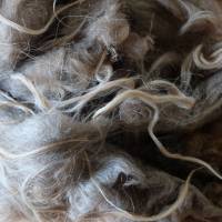 100 Gramm gewaschene Rohwolle vom Spaelsau Schaf, braun. Zum Filzen, Spinnen und Basteln Bild 8