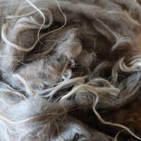 100 Gramm gewaschene Rohwolle vom Spaelsau Schaf, braun. Zum Filzen, Spinnen und Basteln Bild 9