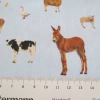 Jersey Baumwolljersey Huhn, Kuh, Ente auf Hellblau Oeko-Tex Standard 100(1m/15,-€) Bild 3
