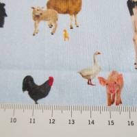 Jersey Baumwolljersey Huhn, Kuh, Ente auf Hellblau Oeko-Tex Standard 100(1m/15,-€) Bild 4