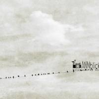 Print "Rastplatz", Vögel auf der Stromleitung vor dem Wolkenhimmel, beige, grau, weiß, marmoriert. 20 x 30 cm Bild 2