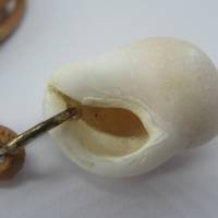 Muschel Kette mit weißer Muschel am Lederband Bild 9