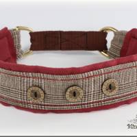 MUSTERVERKAUF Hundehalsband, verschiedene Desings, Zugstopp Halsband für Hunde, Martingale, Rhodesian Ridgeback SALE Bild 7