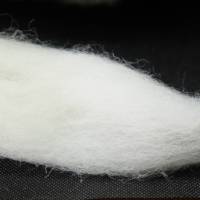 50 Gramm Wolle vom Dorset Horn im Kammzug, zum Spinnen, Weben, Filzen, Basteln Bild 2
