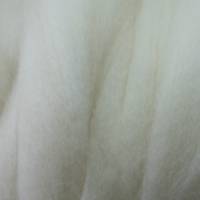 50 Gramm Wolle vom Dorset Horn im Kammzug, zum Spinnen, Weben, Filzen, Basteln Bild 3