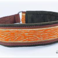 MUSTERVERKAUF Hundehalsband, verschiedene Desings, Zugstopp Halsband für Hunde, Martingale, Rhodesian Ridgeback SALE Bild 4