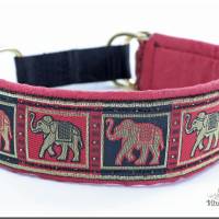 MUSTERVERKAUF Hundehalsband, verschiedene Desings, Zugstopp Halsband für Hunde, Martingale, Rhodesian Ridgeback SALE Bild 8