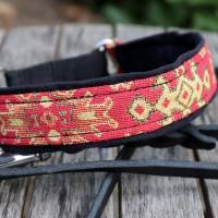 MUSTERVERKAUF Hundehalsband, verschiedene Desings, Zugstopp Halsband für Hunde, Martingale, Rhodesian Ridgeback SALE Bild 1