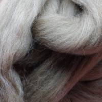 50 Gramm Manx Loaghtan Wolle im Kammzug, zum Spinnen, Filzen, Basteln, Weben Bild 2