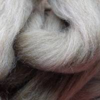 50 Gramm Manx Loaghtan Wolle im Kammzug, zum Spinnen, Filzen, Basteln, Weben Bild 4
