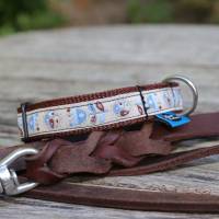 Halsband mit Klickverschluss, Hundehalsband mit verschiedenen Designs, Breiten und Größen Bild 4