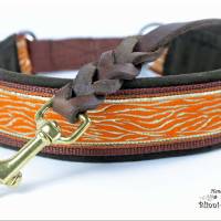 MUSTERVERKAUF Hundehalsband, verschiedene Desings, Zugstopp Halsband für Hunde, Martingale, Rhodesian Ridgeback SALE Bild 2
