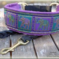 MUSTERVERKAUF Hundehalsband, verschiedene Desings, Zugstopp Halsband für Hunde, Martingale, Rhodesian Ridgeback SALE Bild 5