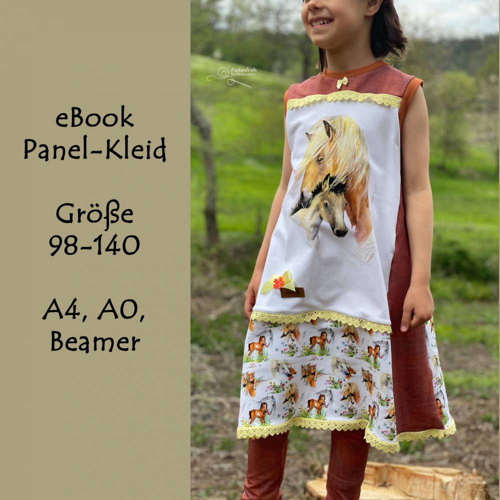 eBook Panel-Kleid mit Beamer-Datei, A4/A0 Bild 1