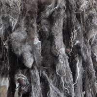 100 Gramm Wolle vom Norsk Spaelsau, dunkelgrau, zum Spinnen, Filzen, Basteln Bild 1