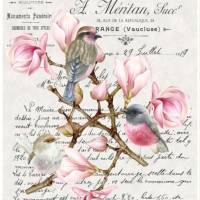 Reispapier - Motiv Strohseide - A4 - Decoupage - Vintage - Shabby - Birds - Vögel - Magnolie - 19242 Bild 1
