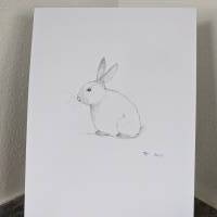 Zeichnung Bild Kaninchen Häschen Hase Bild 2