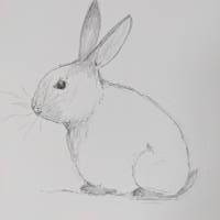 Zeichnung Bild Kaninchen Häschen Hase Bild 3