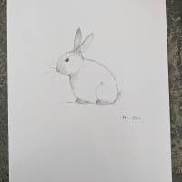 Zeichnung Bild Kaninchen Häschen Hase Bild 4