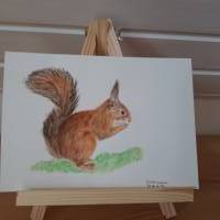 Aquarell Bild Gemälde Eichhörnchen Bild 2