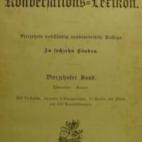 Original Chromotafel aus Brockhaus Konversationslexikon von 1894/95  Farblithographie  -    Pflanzenkrankheiten Bild 3
