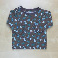 Babykleidung Gr. 68; Kleidungsset Shirt & Pumphose; Einzelstücke; Kleidung mit Dinos; Dinosaurier; handmade Bild 2