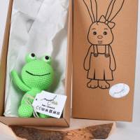 Handgefertigte gehäkelte Puppe Frosch "Charlie" aus Baumwolle Amigurumi Frosch, Kuscheltier, Geschenk zu Ostern Bild 8