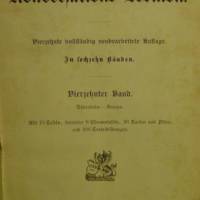Original sw Holzstich   Kanichenrassen  - Originaldruck  aus Brockhaus Konversationslexikon,1894/95 Bild 2