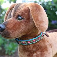 Halsband mit Klickverschluss, Hundehalsband mit verschiedenen Designs, Breiten und Größen Bild 6