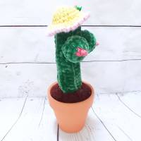gehäkelter Kaktus im Blumentopf mit Brüsten und Hut Bild 4