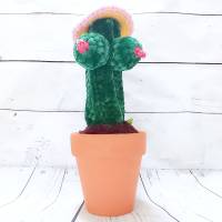 gehäkelter Kaktus im Blumentopf mit Brüsten und Hut Bild 5