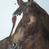 Aquarell Gemälde Pferd Portrait Bild 2