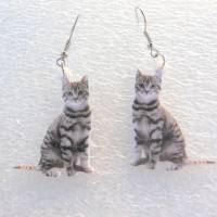Tiger Katze, gestreift,   Ohrhänger 925, Acryl beidseitig, Bild 1
