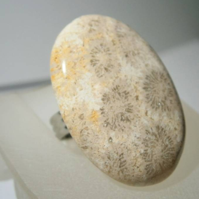 Ring camel beige mit 35 x 25 Millimeter großer Koralle versteinert als Stein oval verstellbar
