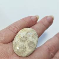 Ring camel beige mit 35 x 25 Millimeter großer Koralle versteinert als Stein oval verstellbar Bild 5