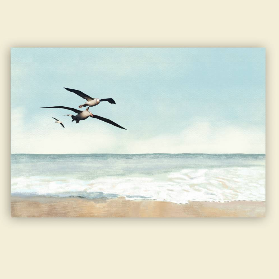Faszination Albatros - Collage Leinwandbild Seevögel fliegen über dem Meer Vintage Style maritim