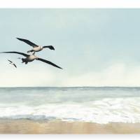 Faszination Albatros - Collage Leinwandbild Seevögel fliegen über dem Meer Vintage Style maritim Bild 4