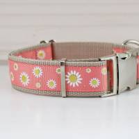 Hundehalsband oder Hundegeschirr mit Margeriten, rosa, beige, apricot, geblümt, Hunde, Hundeleine Bild 1