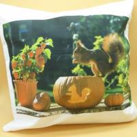 Kissenhülle 'Eichhörnchen-Kürbis', Herbstdeko, Unikat