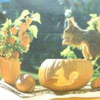 Kissenhülle 'Eichhörnchen-Kürbis', Herbstdeko, Unikat Bild 2