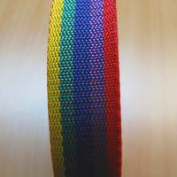 Gurtband Taschengurtband multicolor Breite 25 mm (1m/1,00 €) Bild 1