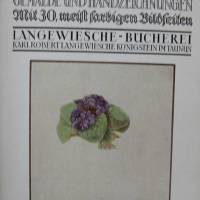 Meister Albrecht Dürer - Gemälde und Handzeichnungen mit 30 farbigen Bilderseiten Bild 2