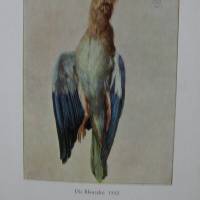 Meister Albrecht Dürer - Gemälde und Handzeichnungen mit 30 farbigen Bilderseiten Bild 3