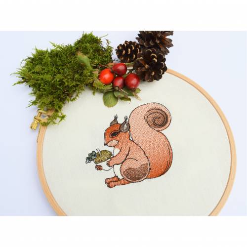 Stickdatei Eichhörnchen