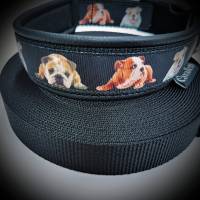 Hundehalsband "Bully"~Größe 41-46 cm verstellbar. Bild 3
