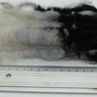 20 Gramm gefärbte Leicester Longwool Locken schwarz-grau, Puppenhaare, zum Weben, Spinnen, Filzen, Basteln Bild 1