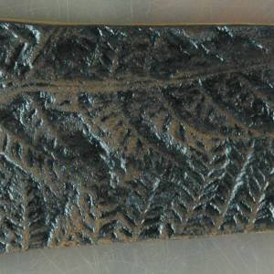 Fossile Replik eines Farns; Lebendes Fossil, Fossilien, Pflanze, Pflanzen, Abdruck, Replikat, Nachbildung Fliese Fliesen Bild 1