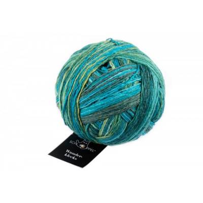 Wunderklecks Sockenwolle von Schoppel in Färberlatein