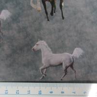 Softshell mit  Fleece-Abseite  Pferde grau ( 1m/14,00€ ) Bild 7