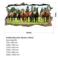 125 Wandtattoo Pferde braun Koppel Wiese - Loch in der Wand - in 6 versch. Größen Sticker Bild 2